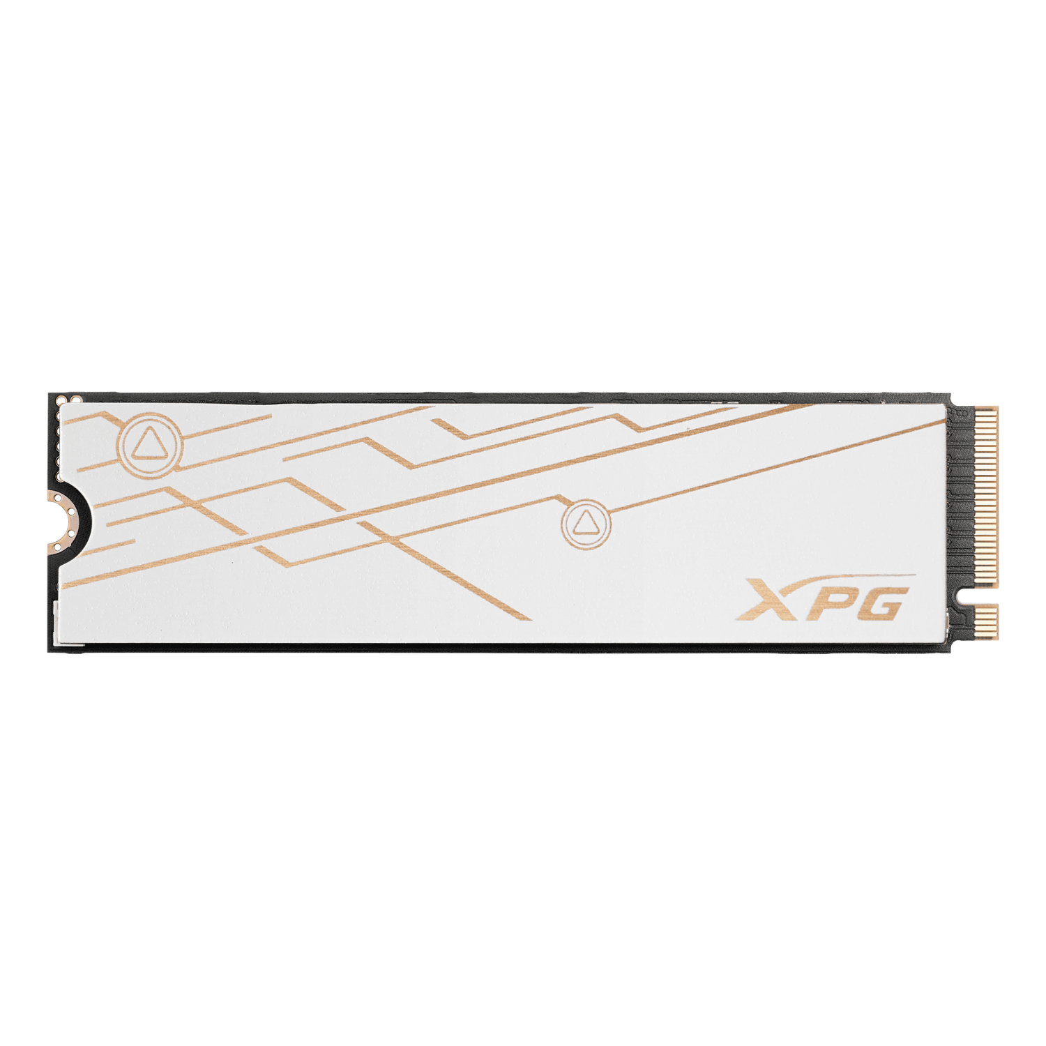 ADATA Gen5 Internal Solid State Drives