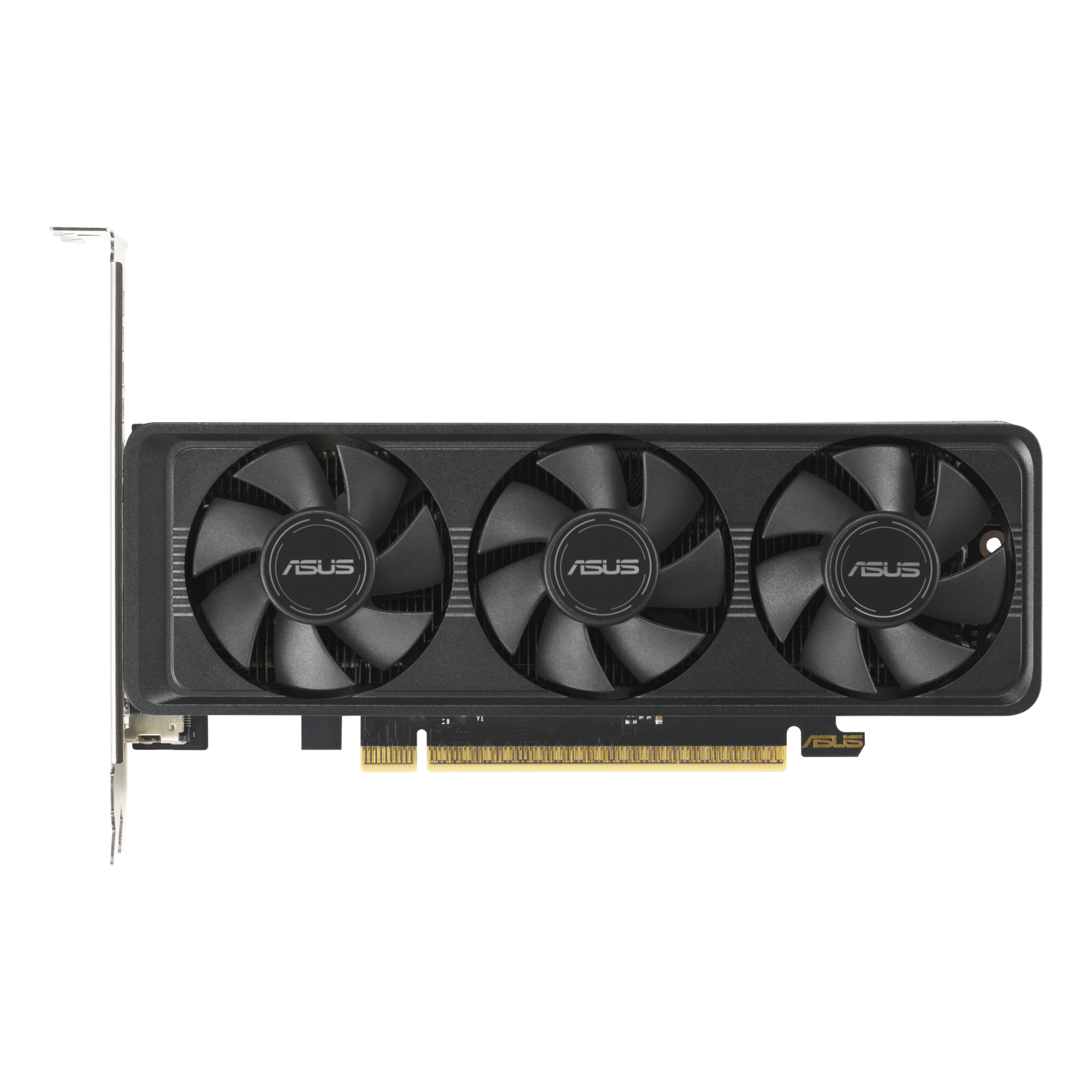 ASUS RTX5060-O8G-LP-BRK Graphics Cards - Multi