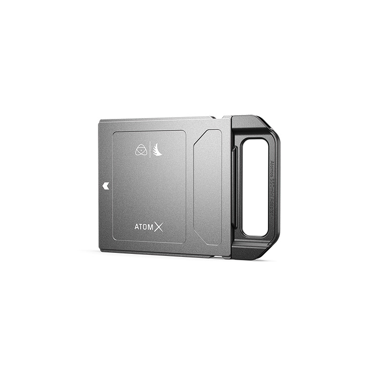Angelbird Technologies AtomX SSD mini 1000 GB Silver
