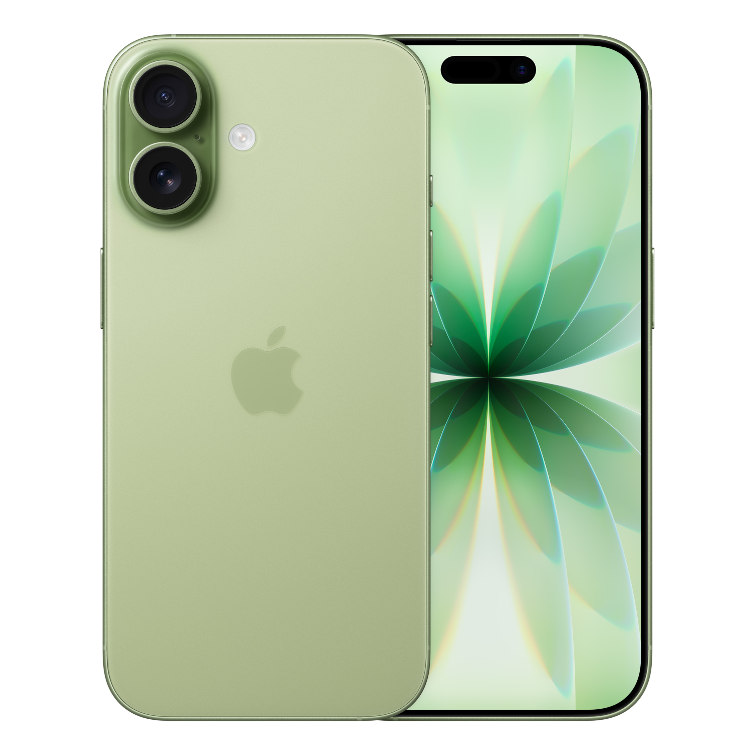 Apple 256GB iPhones - 6.3 Inches - Sage