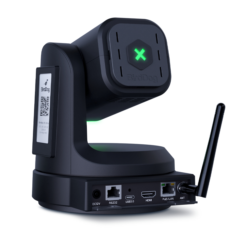 BIRDDOG BDPX1B Security Cameras - Black