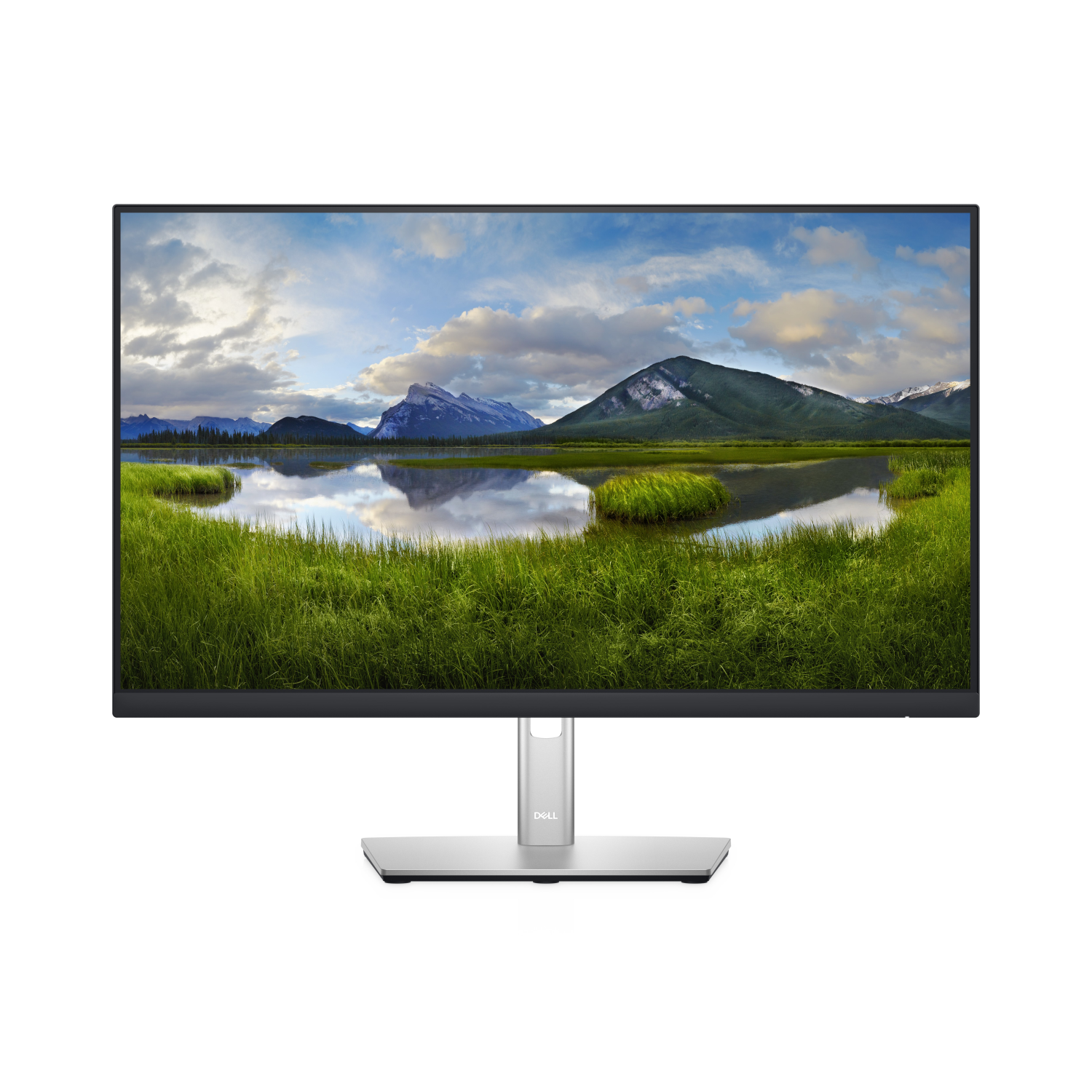 Dell P2422H Computer Monitors - 23.8 Inches - Black