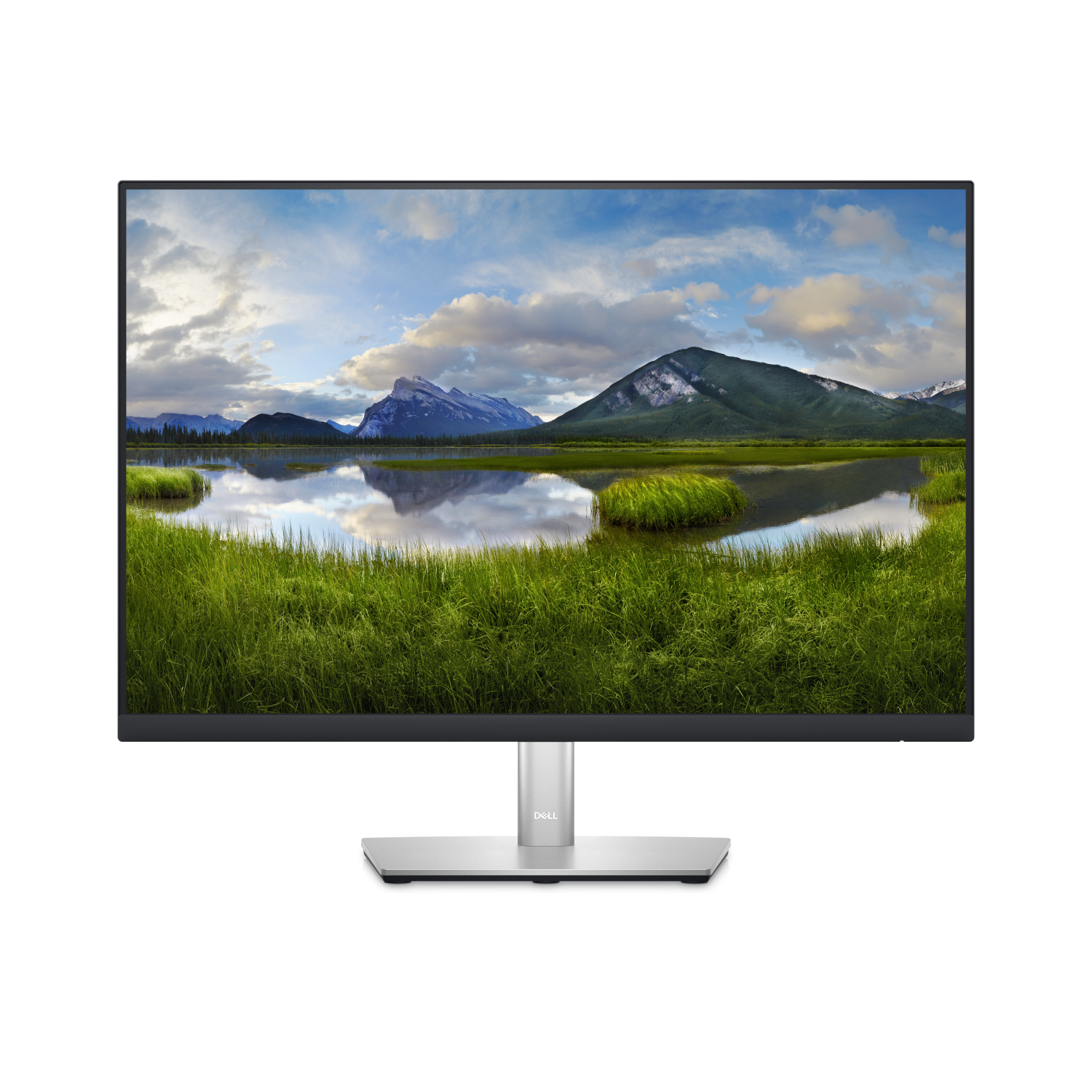 Dell P2423 Computer Monitors - 24 Inches - Black