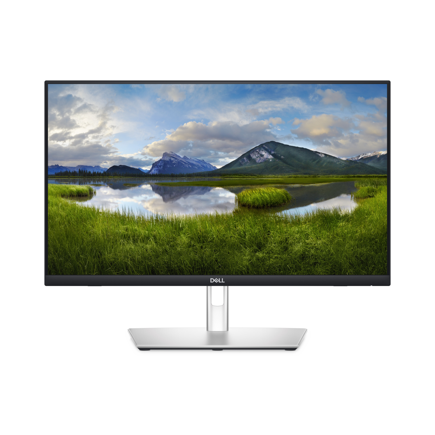 Dell P2424HT Computer Monitors - 23.8 Inches - Multi