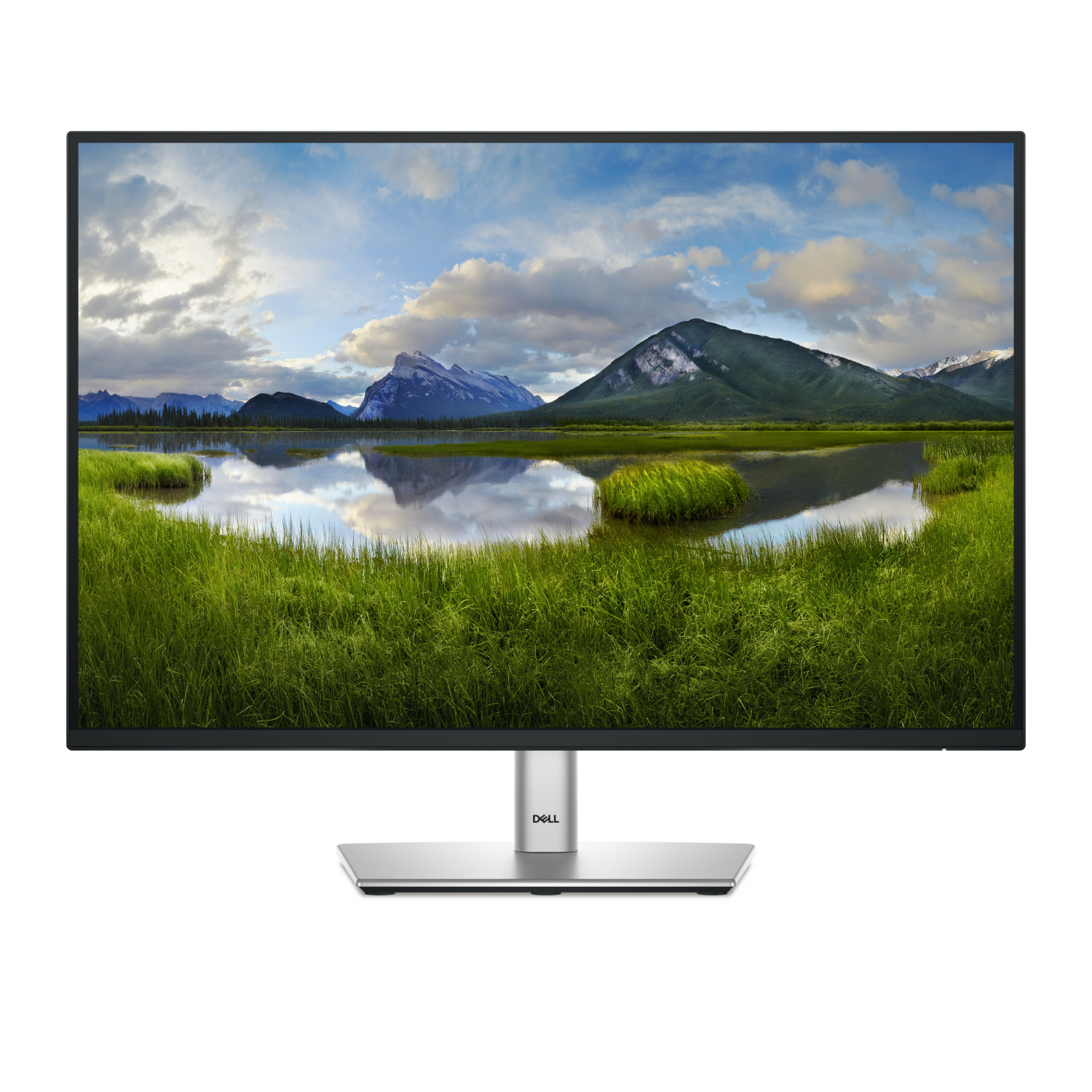 DELL P2425E Computer Monitors - 24.07 Inches - Black