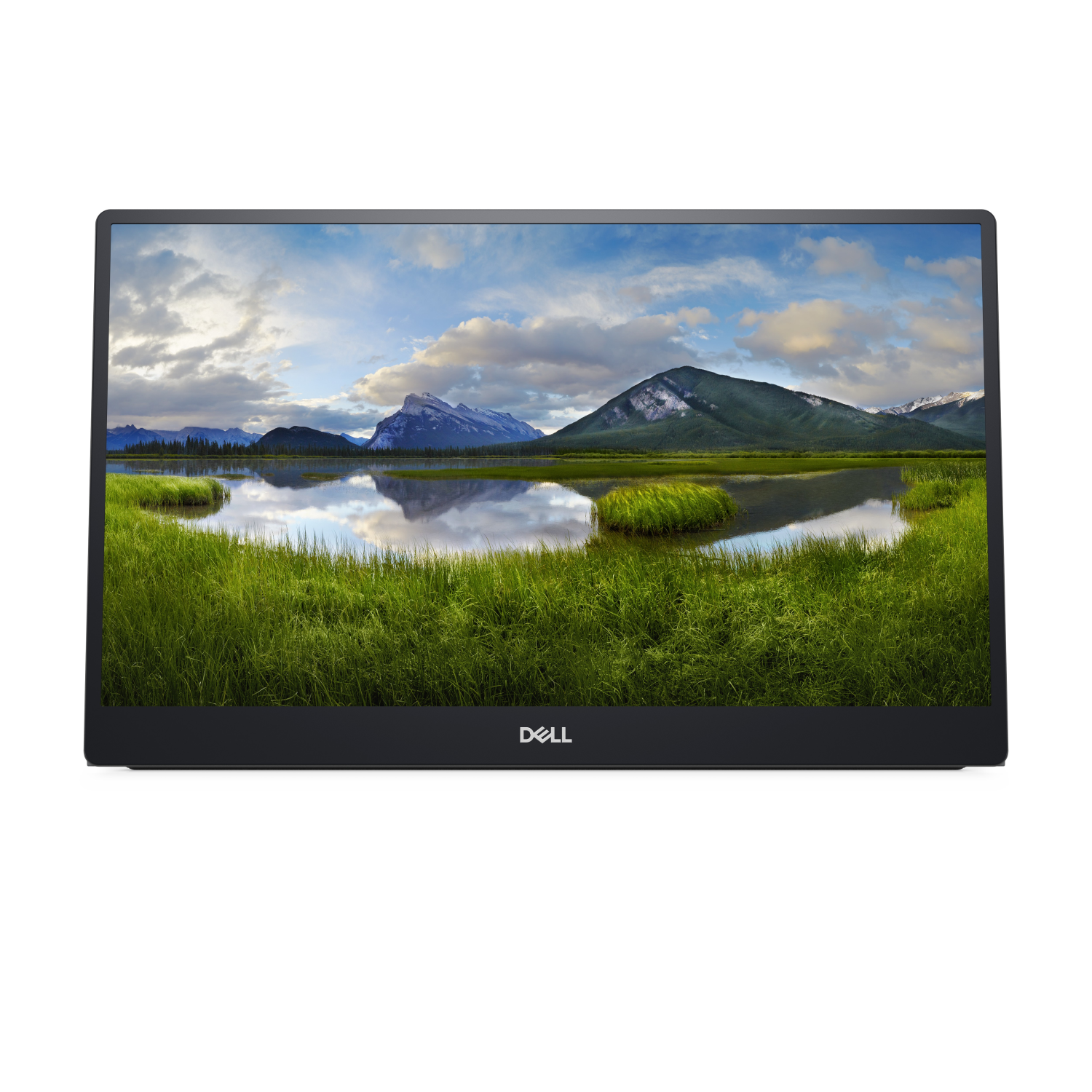 DELL P1424H Computer Monitors - 14 Inches - Grey