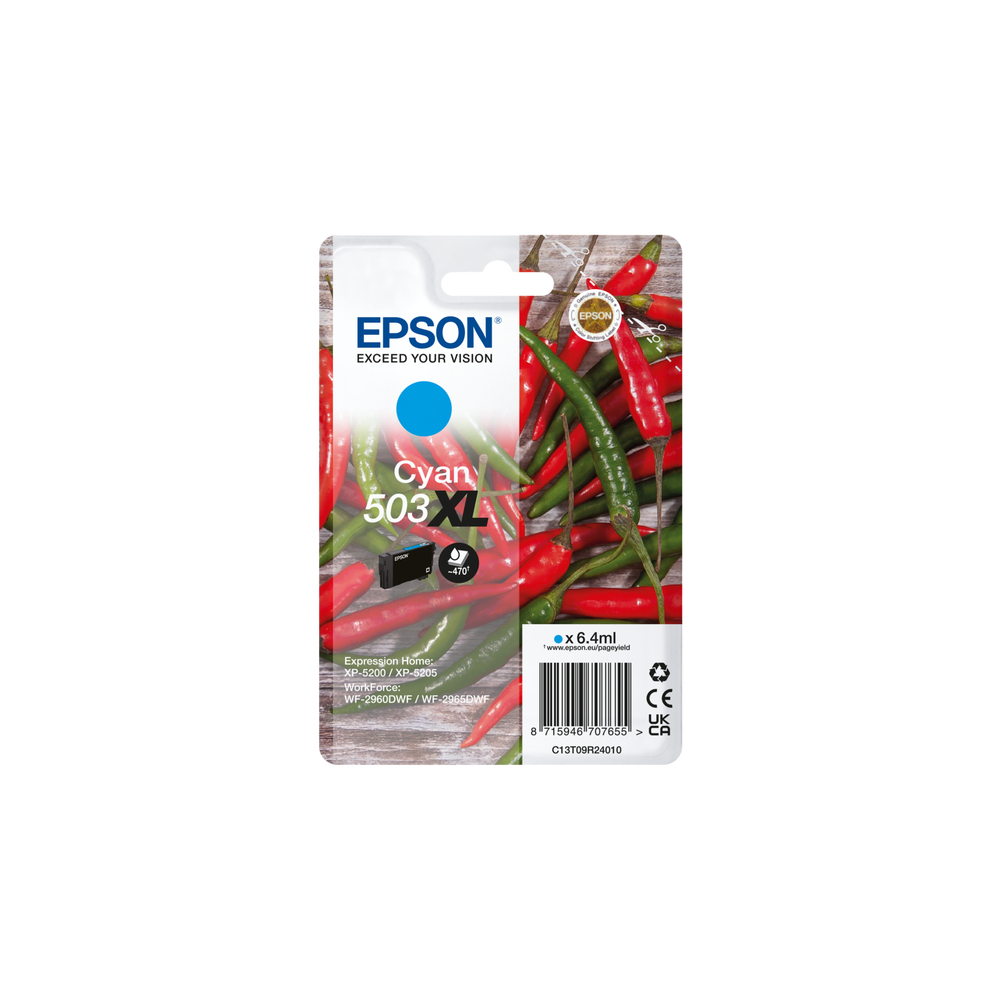 Epson C13T09R34010 Ink Cartridges
