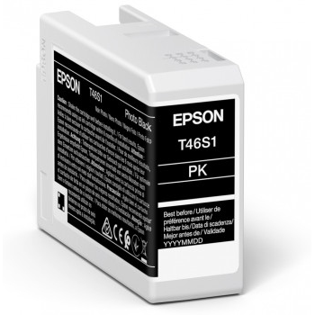 Epson C13T46S100 Ink Cartridges