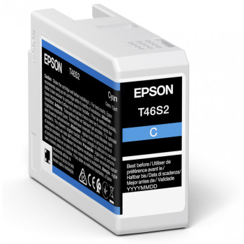 Epson C13T46S200 Ink Cartridges