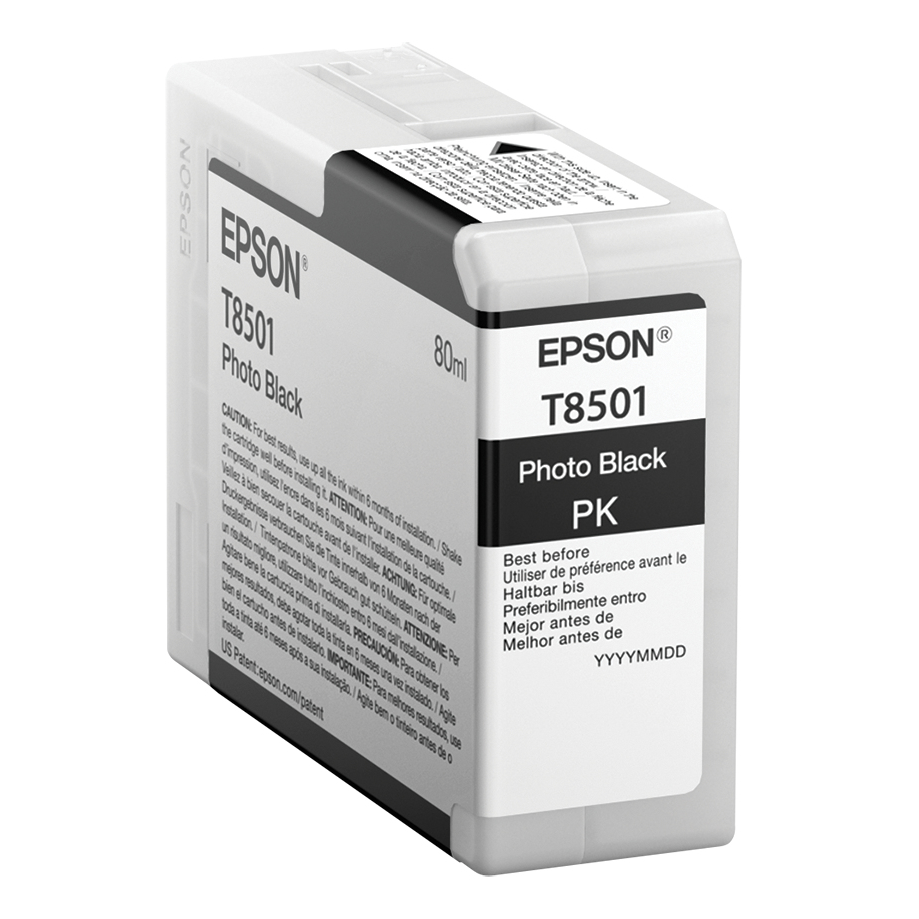 Epson C13T850100 Ink Cartridges