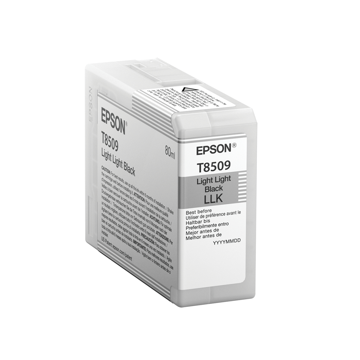 Epson C13T850900 Ink Cartridges