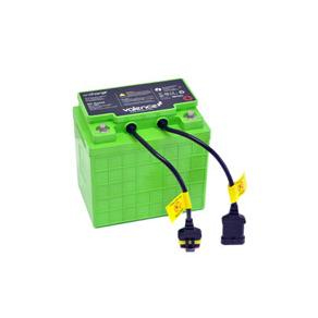 Ergotron SV LiFe Single-use battery 12V Lithium