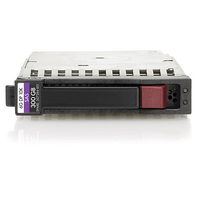 HP 300GB Internal Hard Drives
