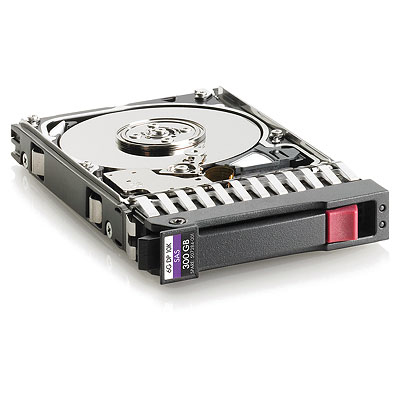 HPE 300GB Internal Hard Drives