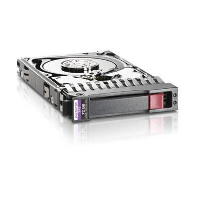 Hewlett Packard Enterprise 300GB Internal Hard Drives