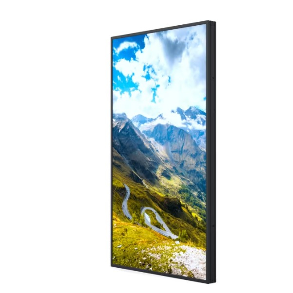 Hisense 55WF25E Signage Displays - 55 Inches - 2GB - Black