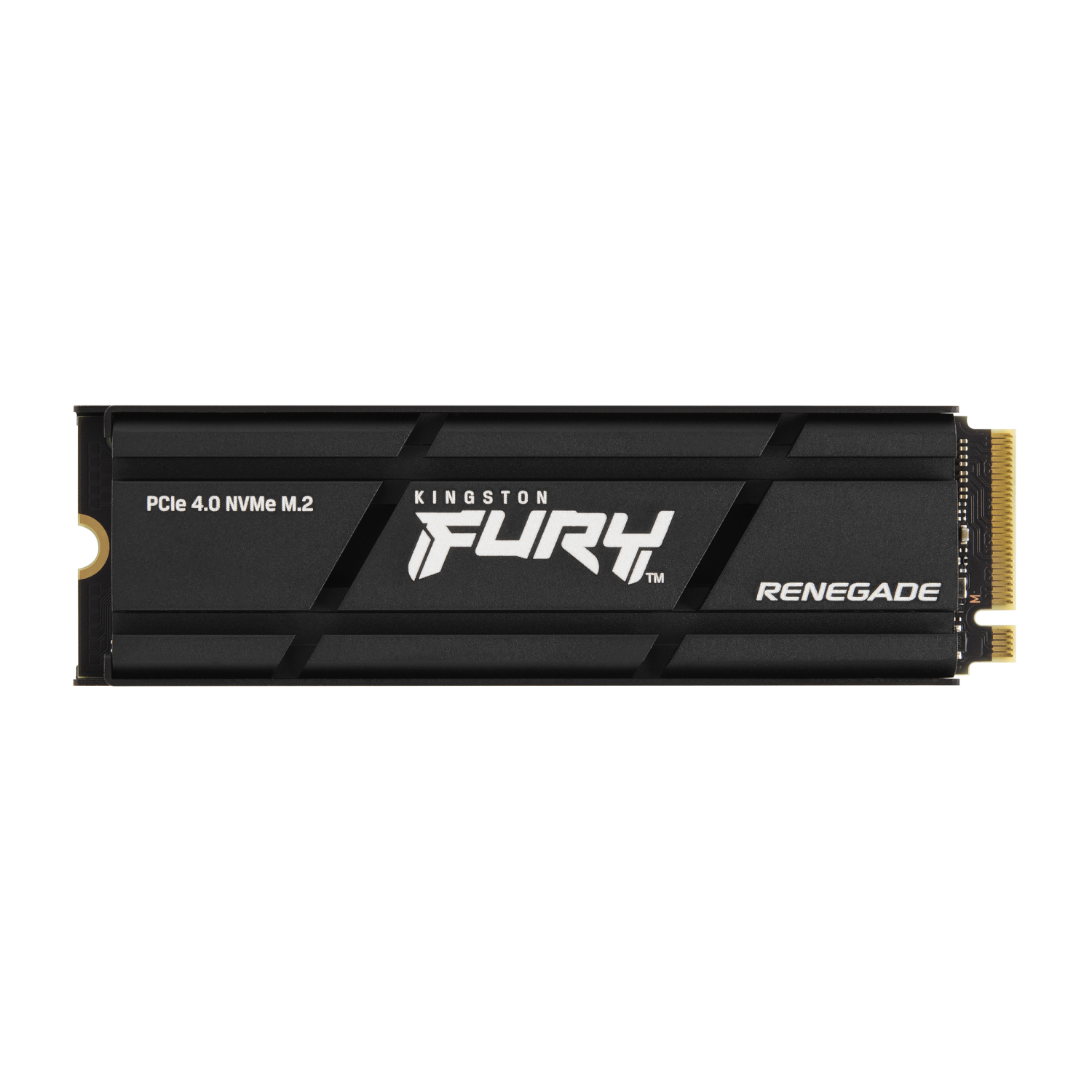Kingston 2000G Internal Solid State Drives