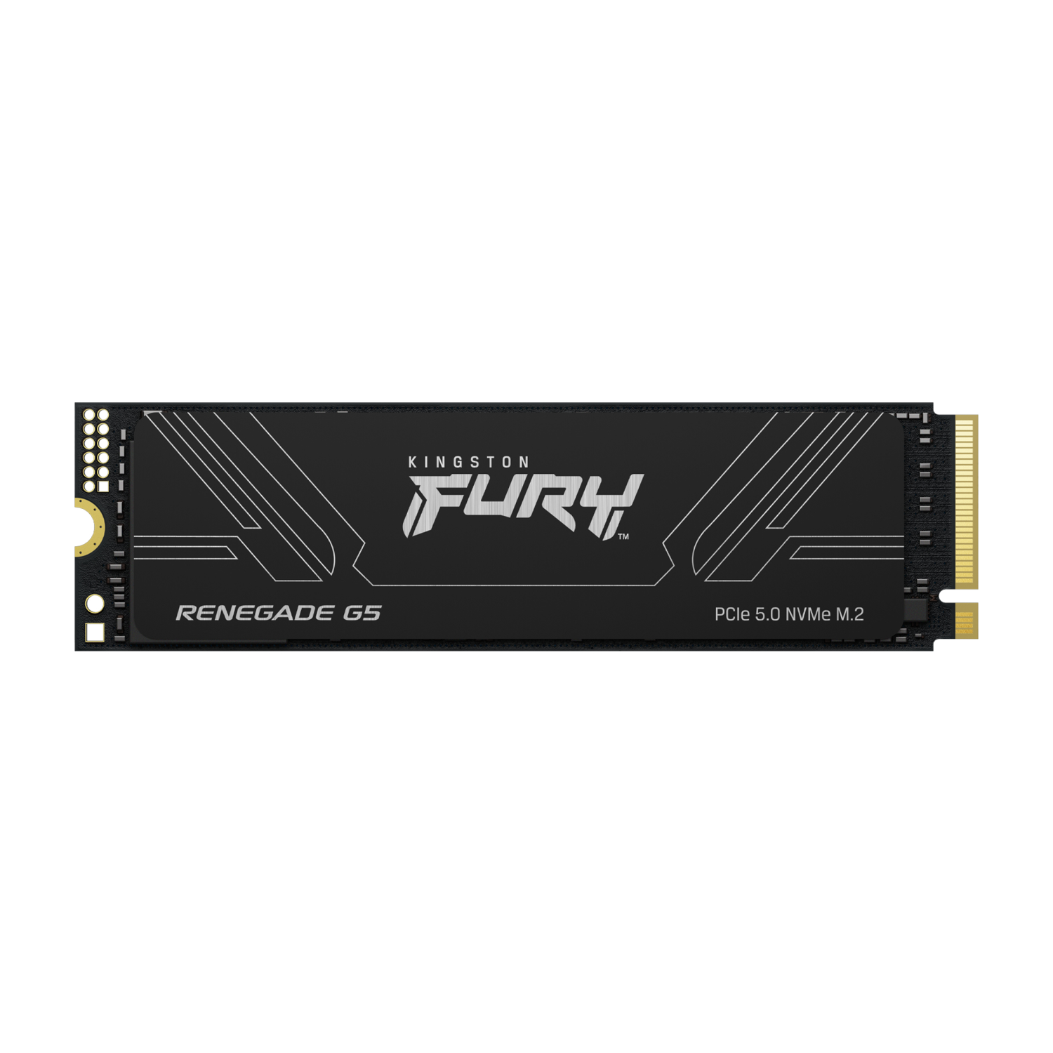 Kingston Technology 4T FURY RENEGADE G5 M.2 2280 NVMe SSD