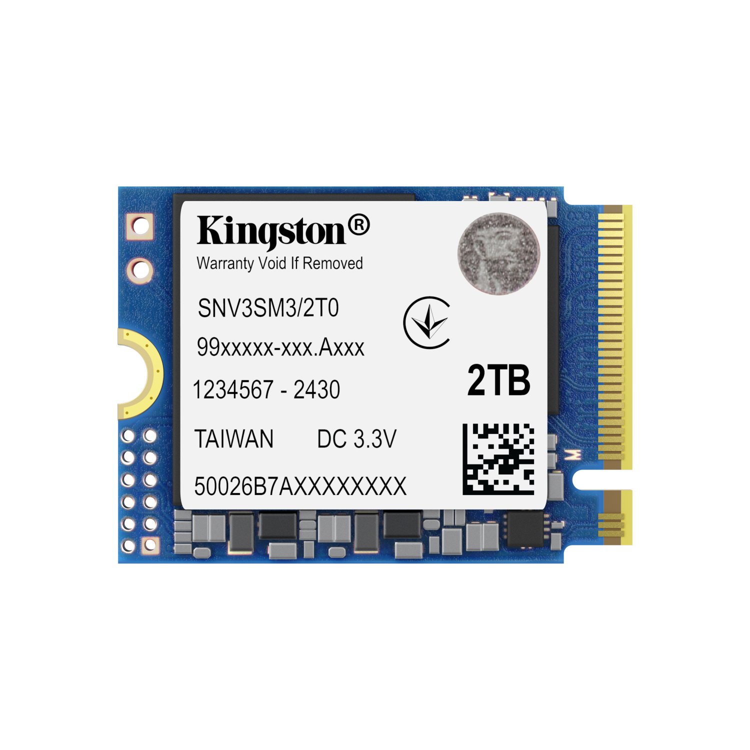 Kingston Technology 2000G Internal Solid State Drives