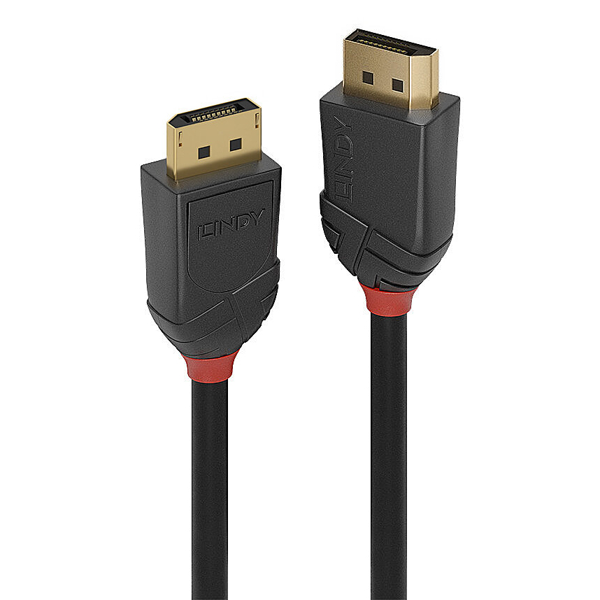 Lindy 36515 DisplayPort cable 0.5 m Black