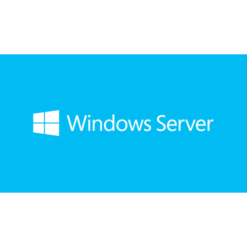 Microsoft Windows Server 2019 Client Access License (CAL)