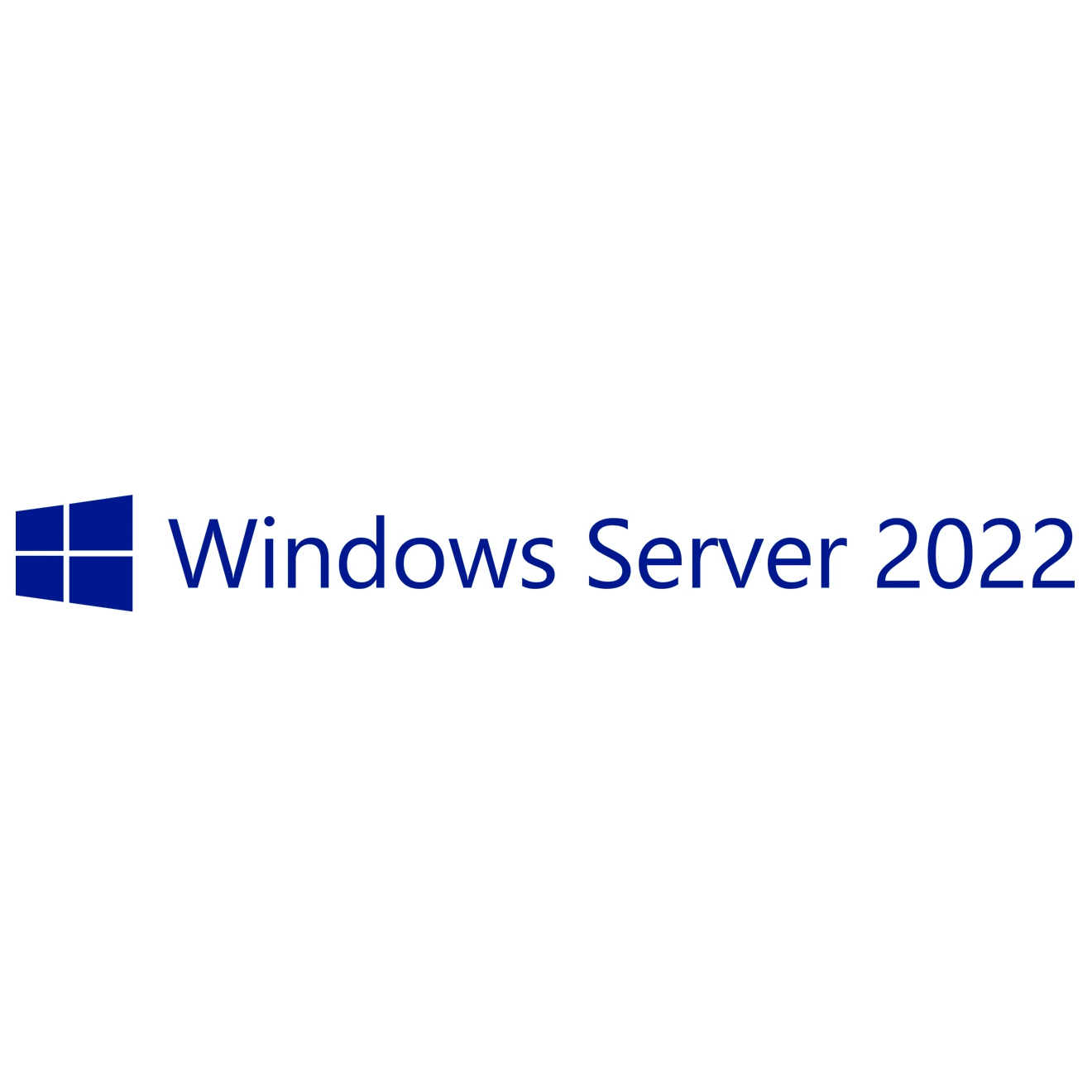 Microsoft Windows Server 2022 Client Access License (CAL)