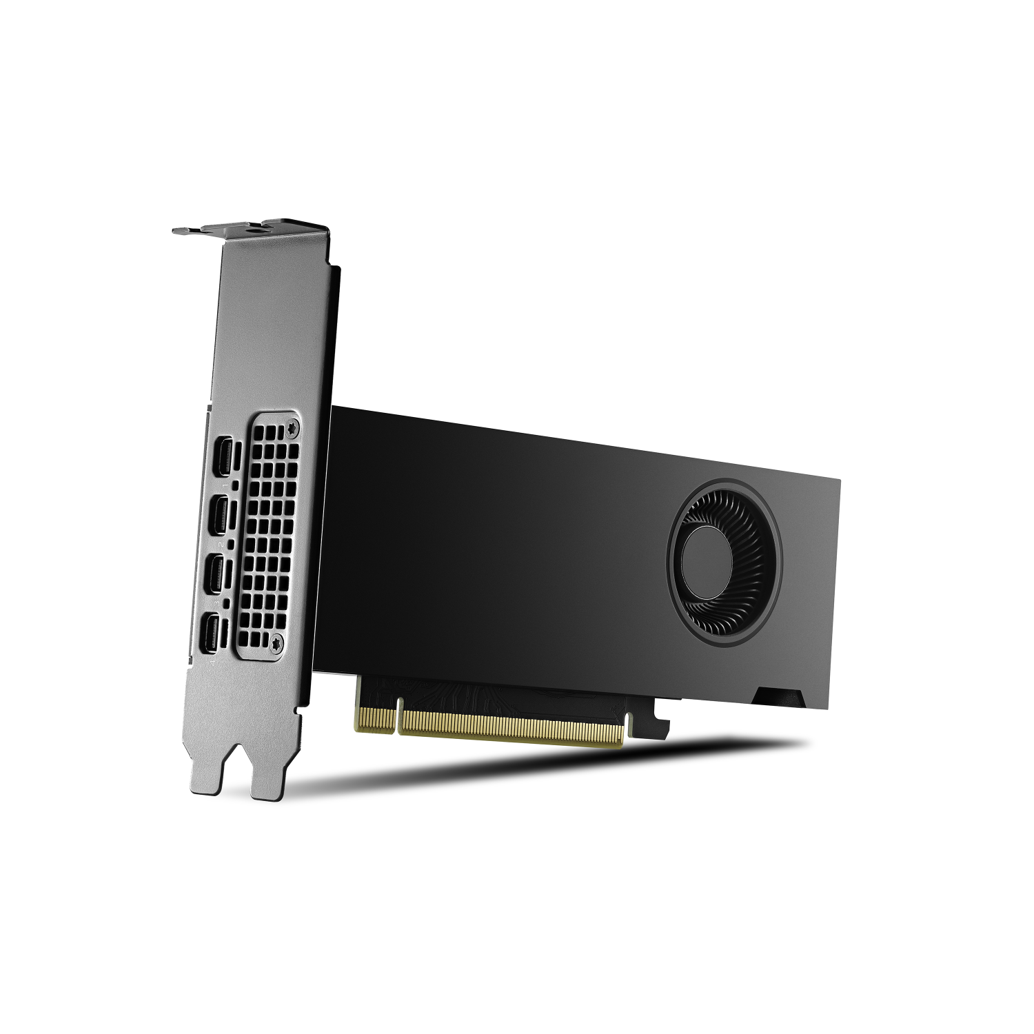PNY RTX2000 Graphics Cards