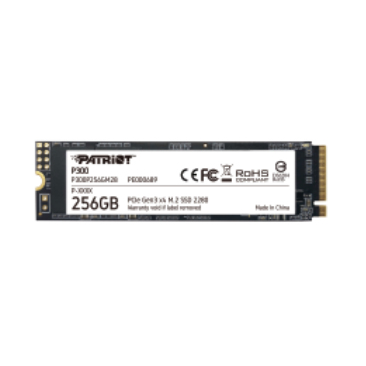 Patriot Memory P300P256GM28 Internal Solid State Drives