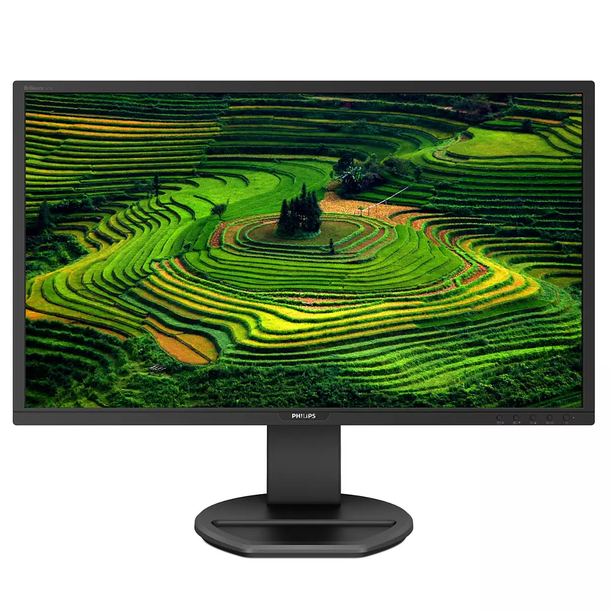 Philips 221B8LJEB Computer Monitors - 21.5 Inches - Black