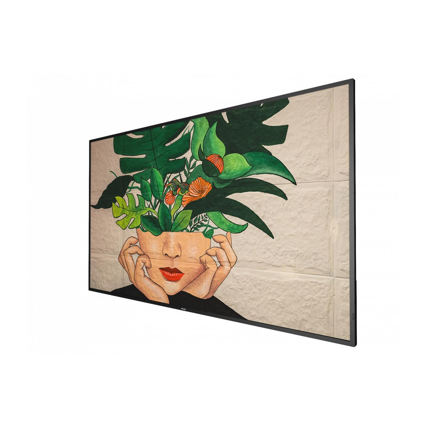 Philips 55BDL4511D Signage Displays - 55 Inches - Black