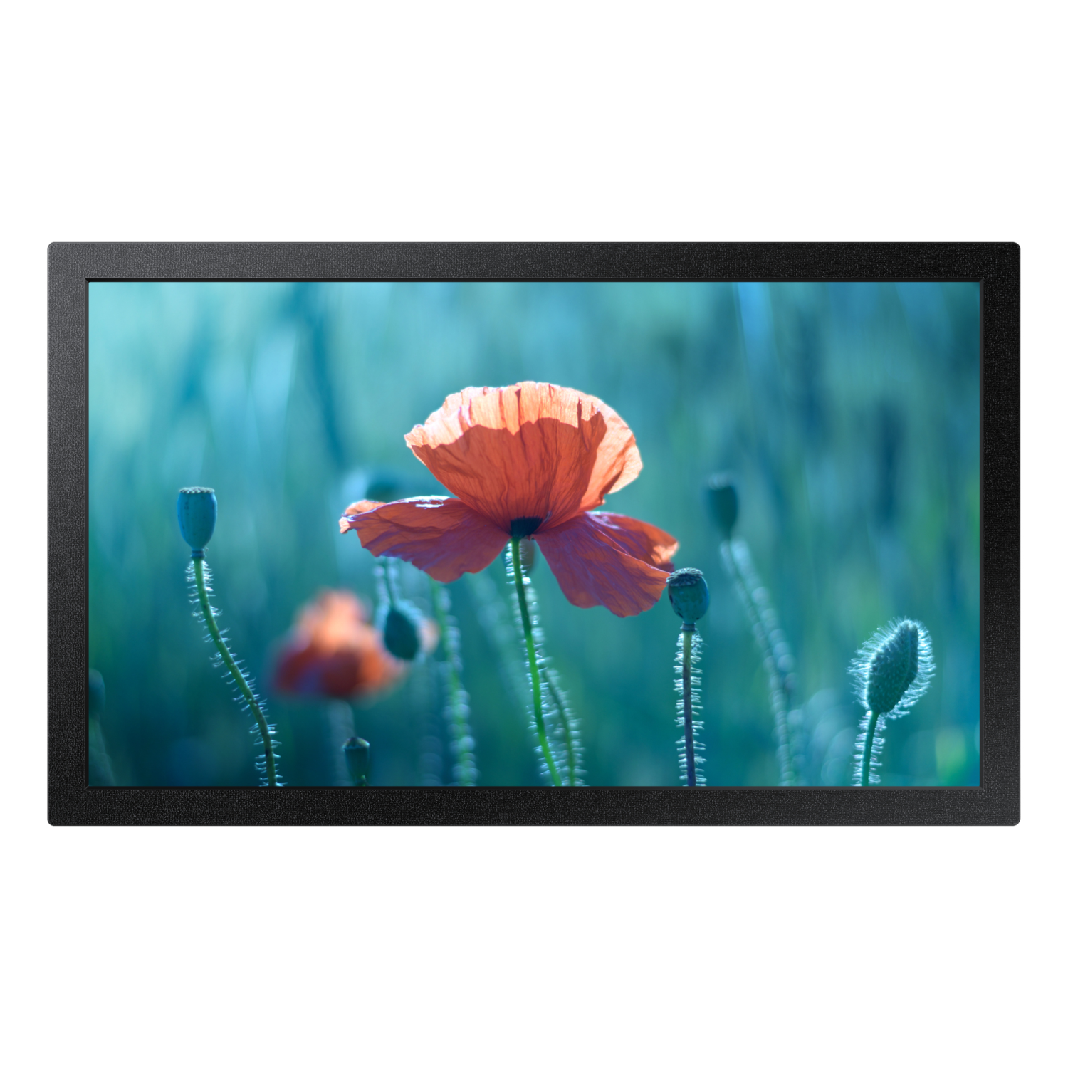 Samsung QB13C Signage Displays - 13 Inches - Black