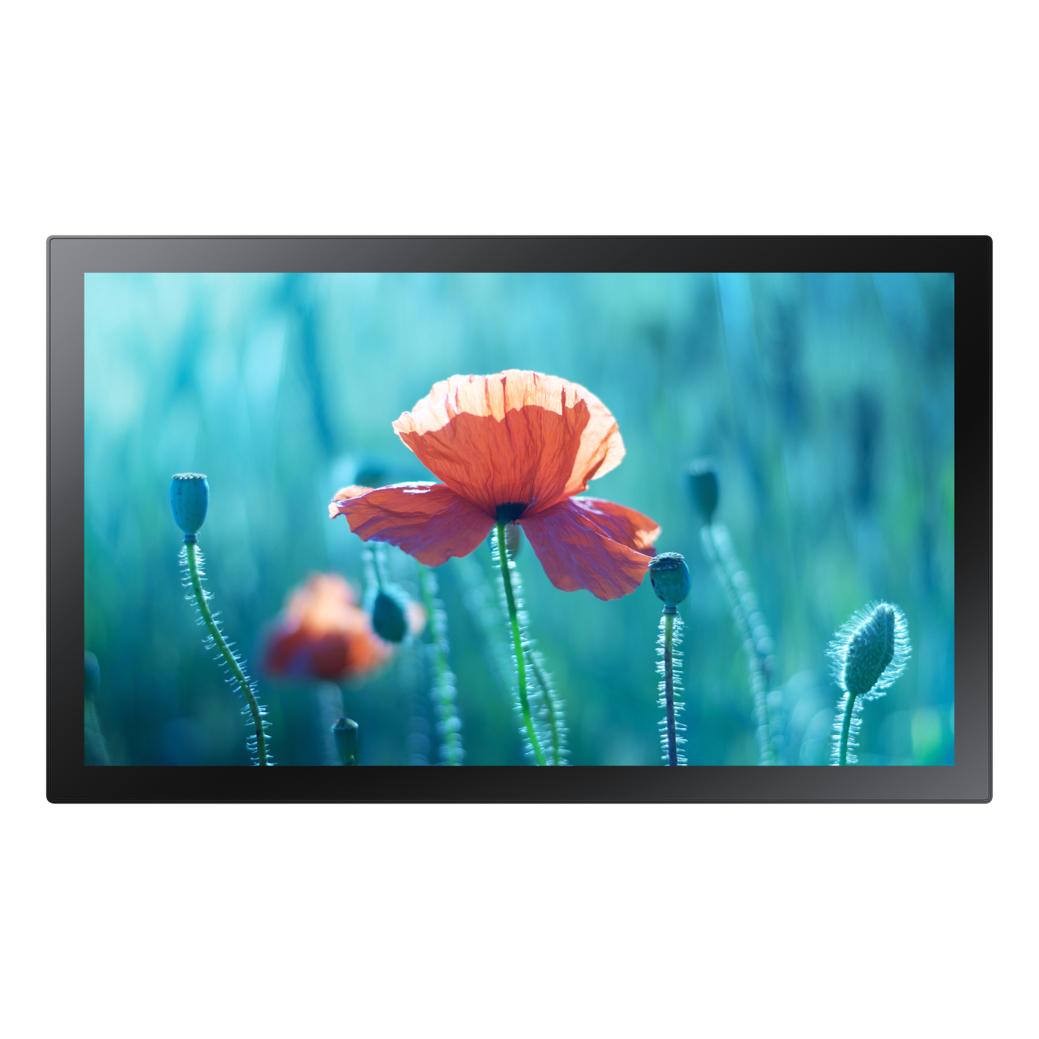 Samsung QB13R-T Signage Displays - 13 Inches - Black