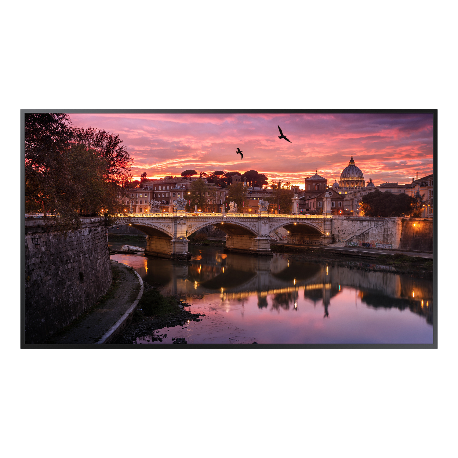 Samsung QB85R-B Signage Displays - 85 Inches - Black