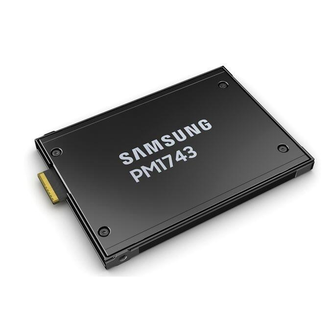 Samsung PM1743 Internal Solid State Drives