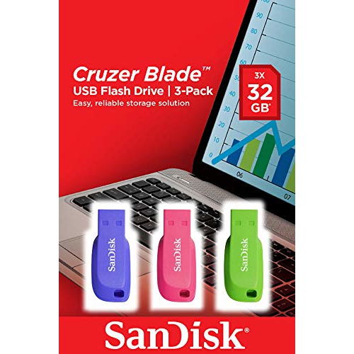 SanDisk 32GB USB Flash Drives - Multi