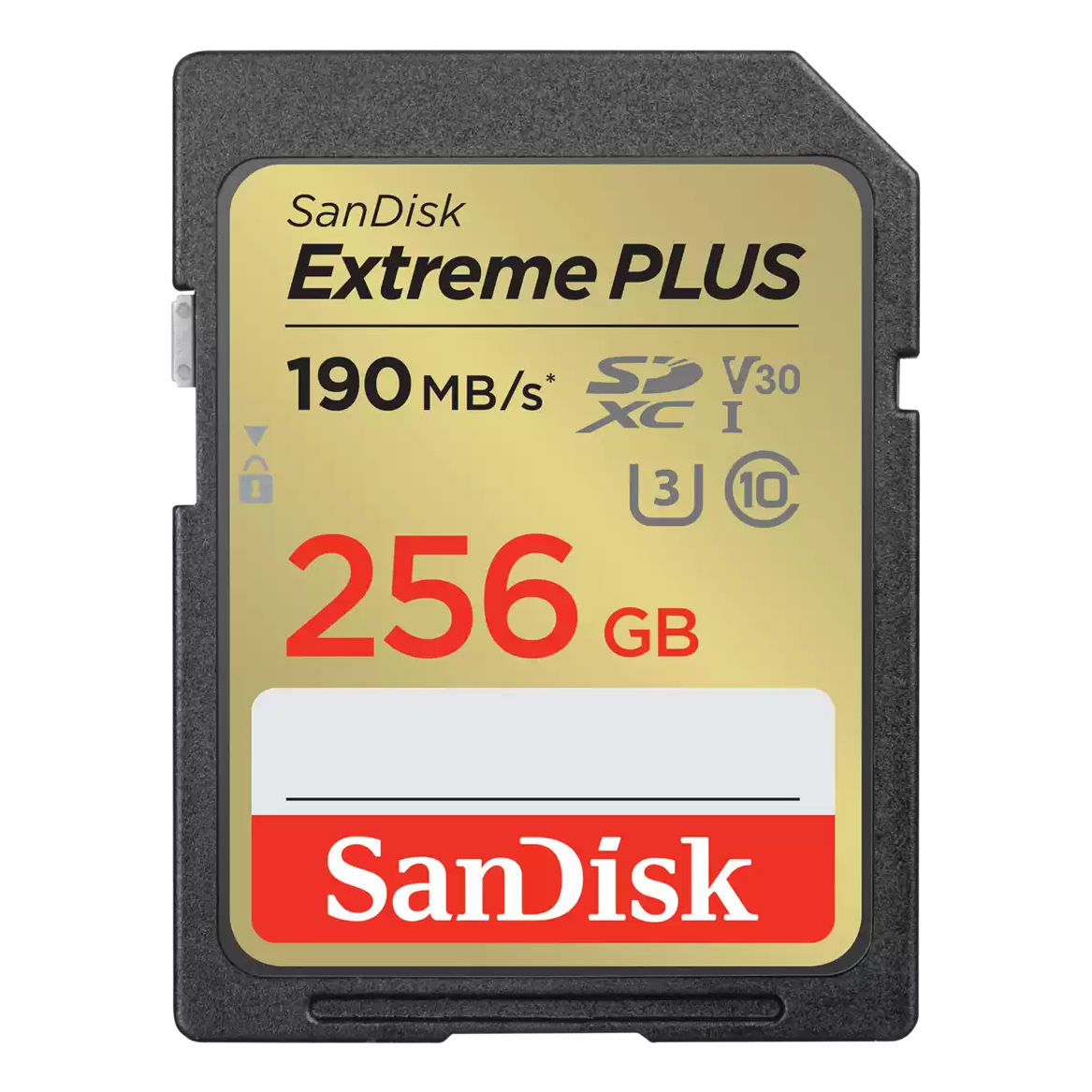 Sandisk 256GB Memory Cards - Multi