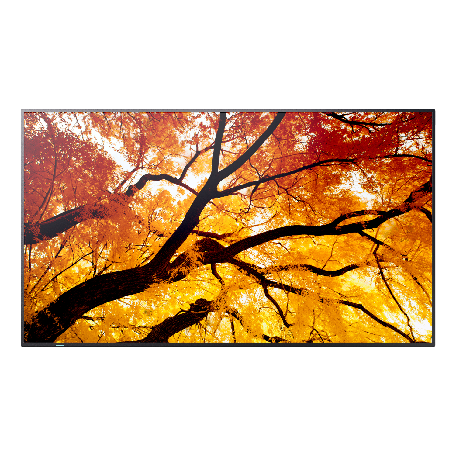 Sharp M432 Signage Displays - 42.5 Inches - Black