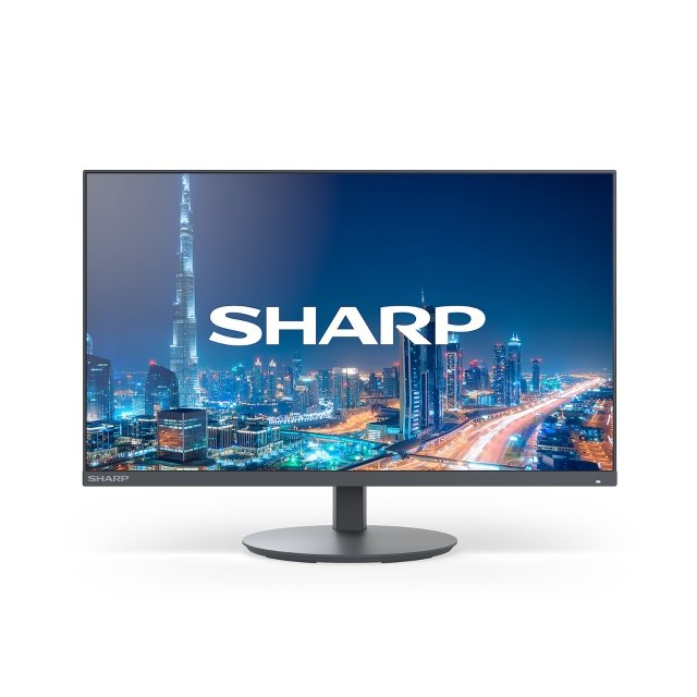 Sharp 24' LCD monitor with LED backlight