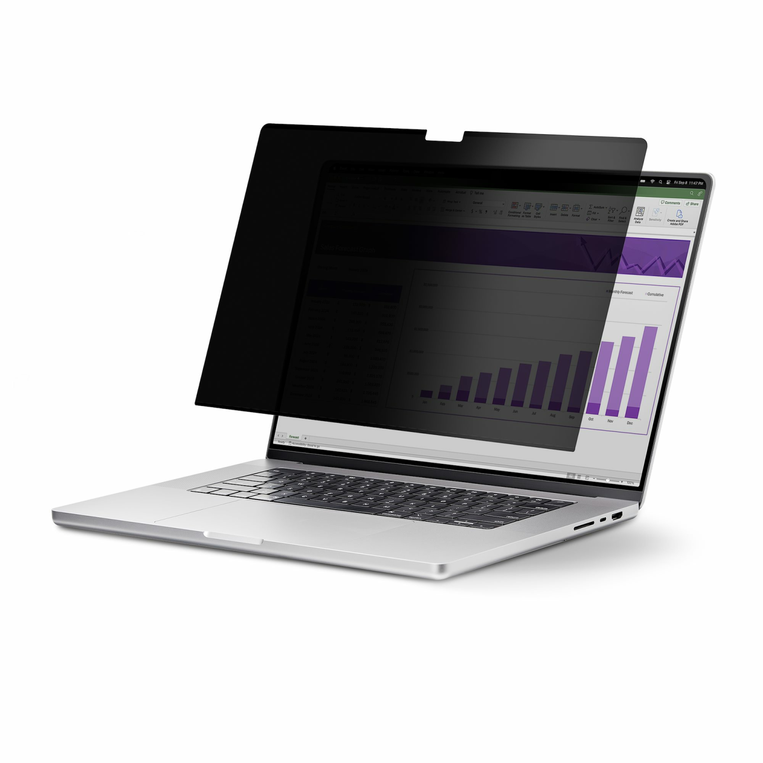 StarTech.com 1-inch Display Privacy Filters - Multi