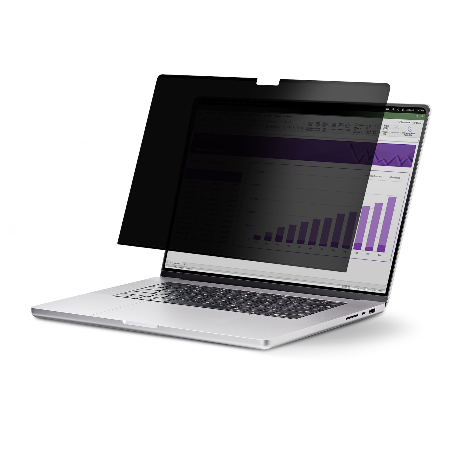 StarTech.com 14-inch Display Privacy Filters - Black
