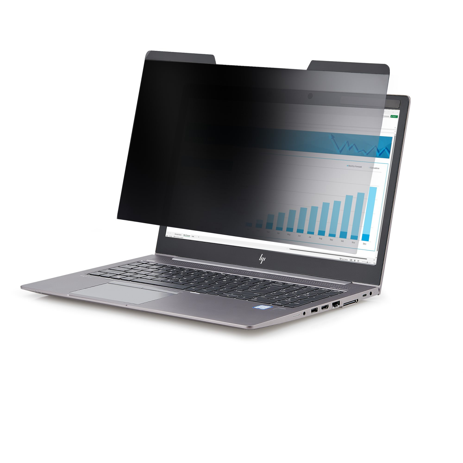 StarTech.com 14-Inch Display Privacy Filters - Transparent