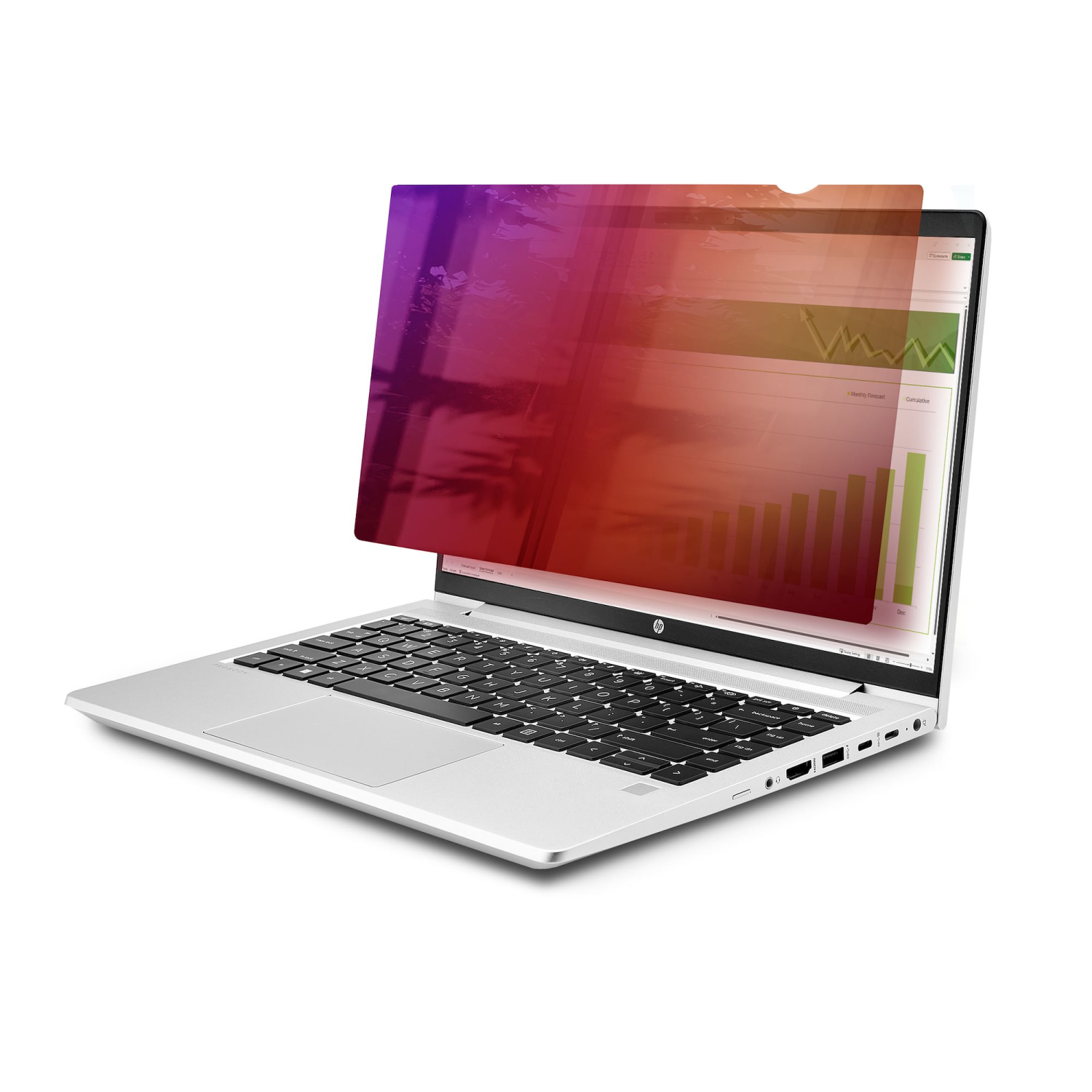 StarTech.com 6-inch Display Privacy Filters