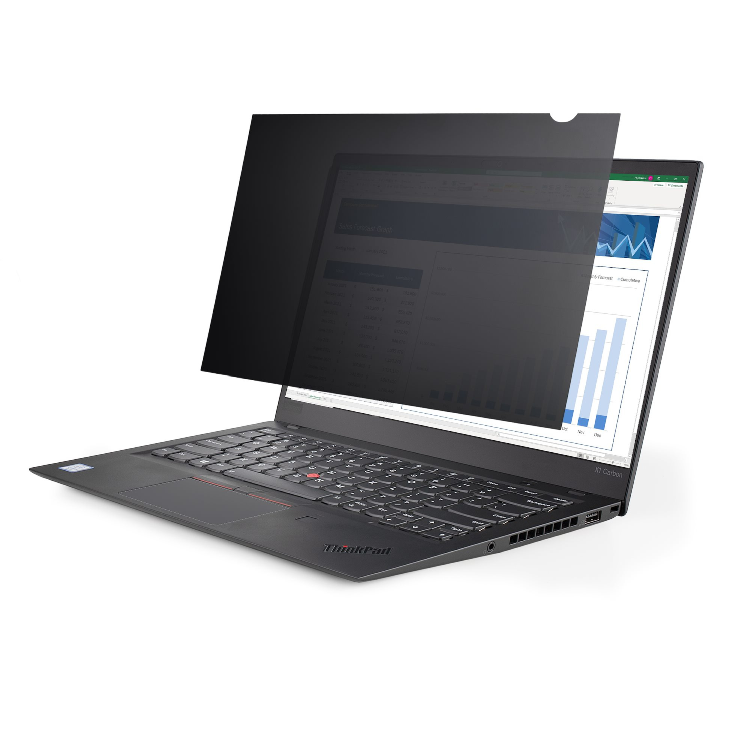 StarTech.com 6-inch Display Privacy Filters