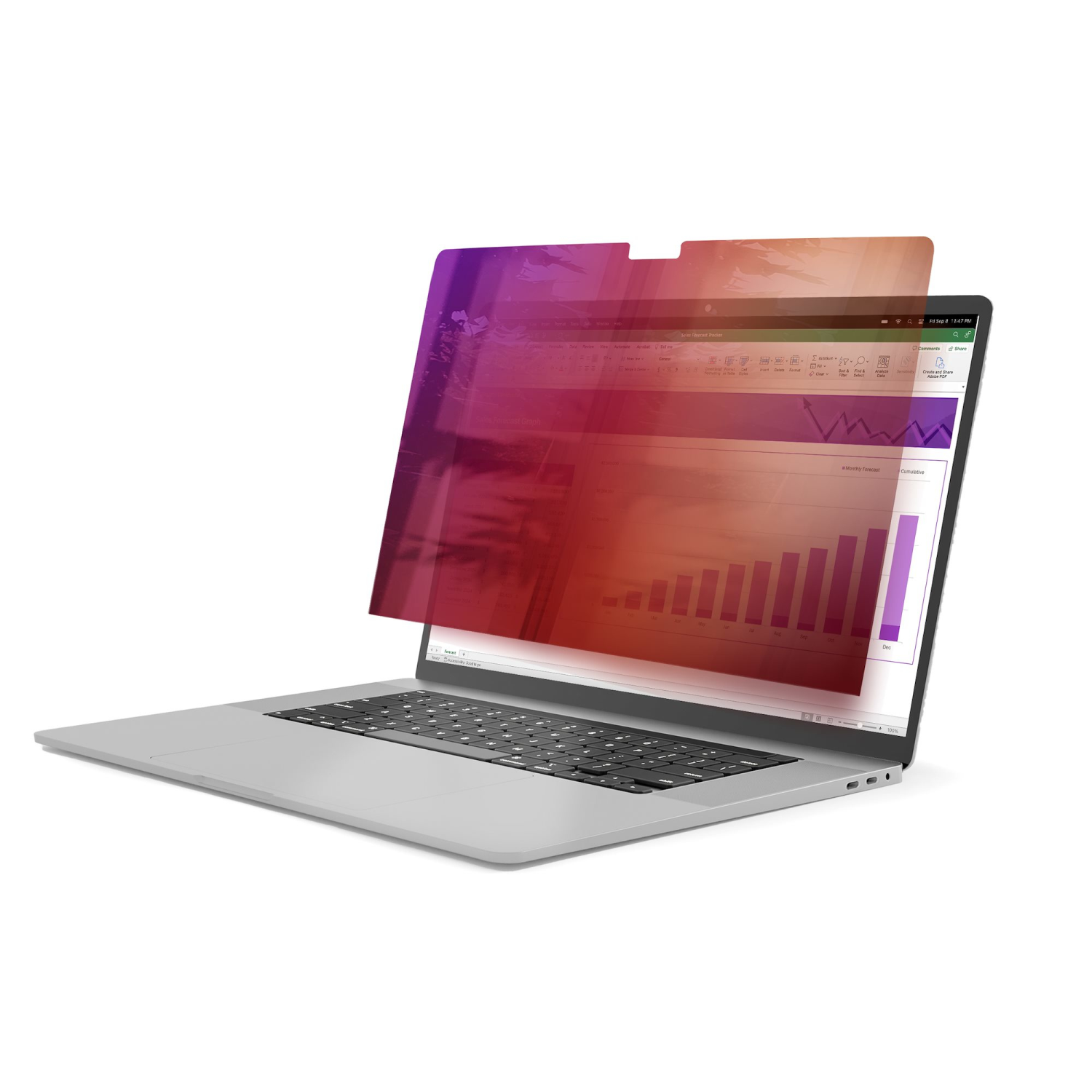 StarTech.com 16-inch Display Privacy Filters - Multi