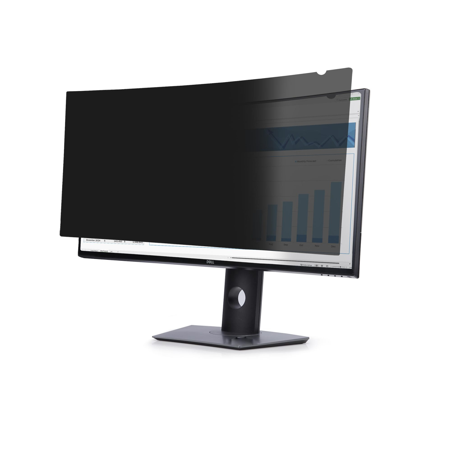 StarTech.com U3824DW Display Privacy Filters - Transparent
