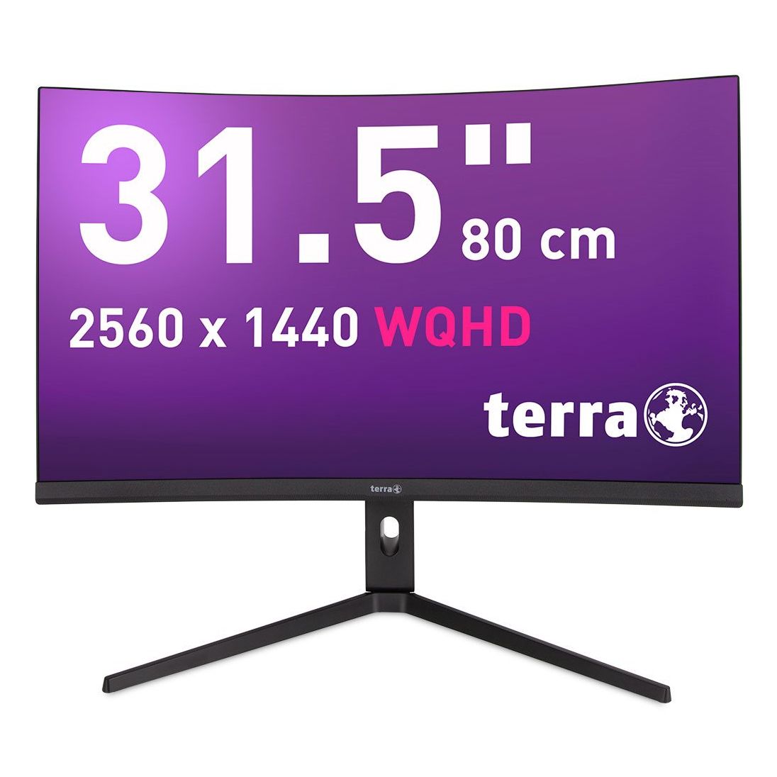 TERRA 3285W Computer Monitors - 31.5 Inches - Black