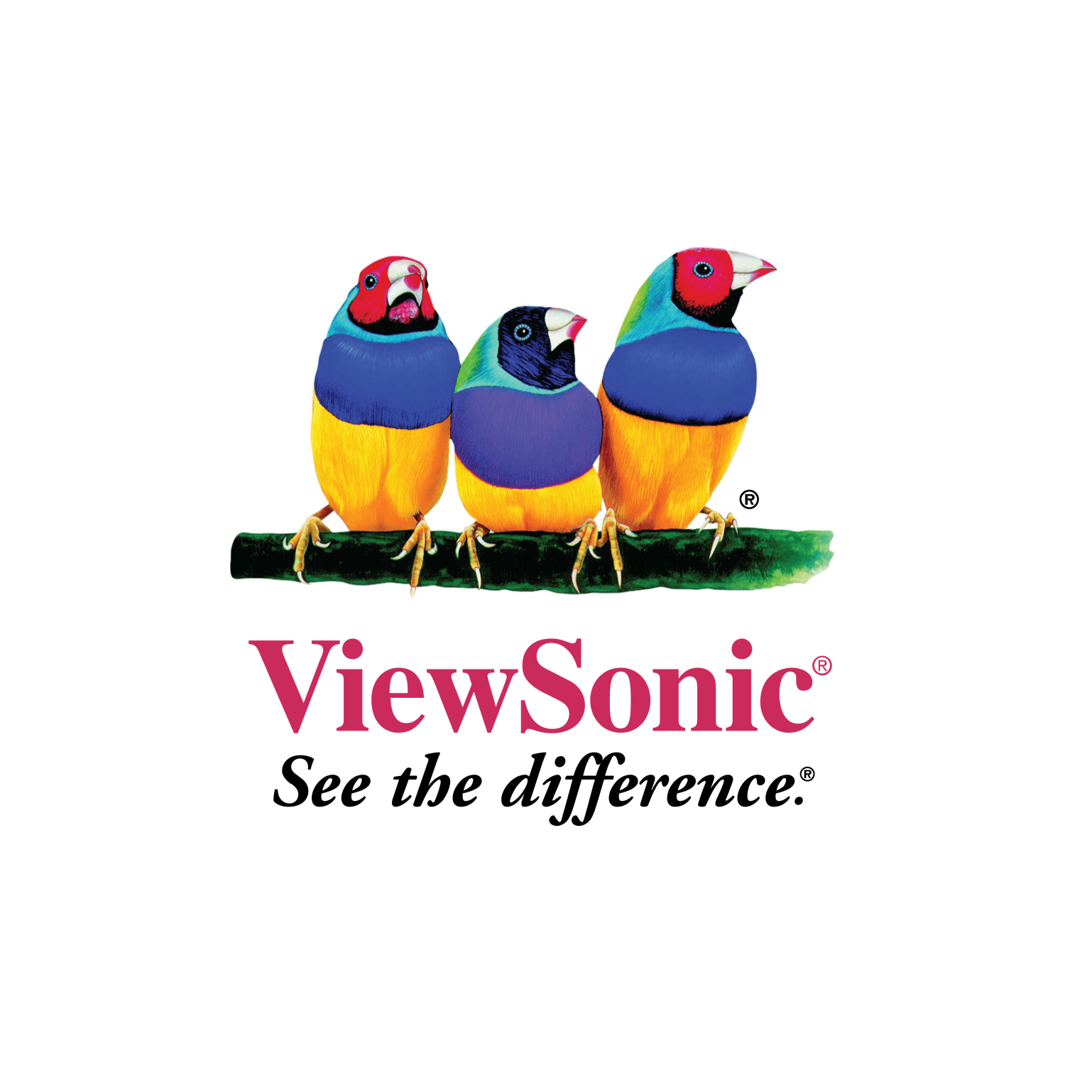 Viewsonic 4 Years On-Site Service of 86" CD Series