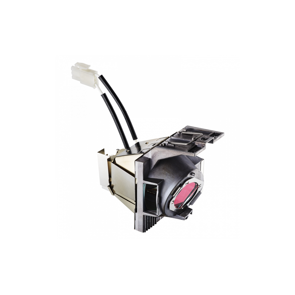 Viewsonic RLC-117 Projector Lamps