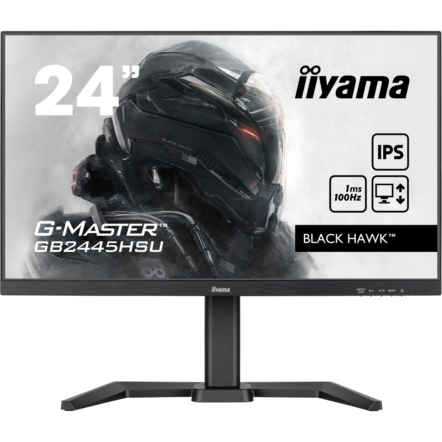 Iiyama GB2445HSU-B1 Computer Monitors - 24 Inches - Black