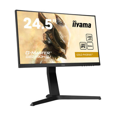 Iiyama GB2590HSU-B1 Computer Monitors - 24.5 Inches - Black